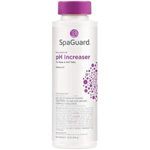 Spa Guard pH Increaser