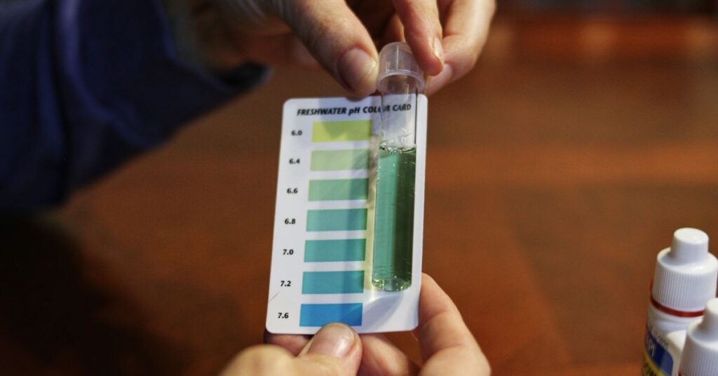 How To Test the Chemical Levels in Your Swim Spa’s Water